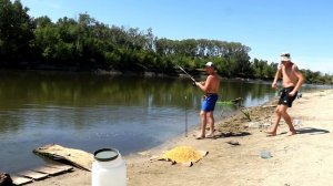Рыбалка в Волгоградской области.Раздача сазана.
