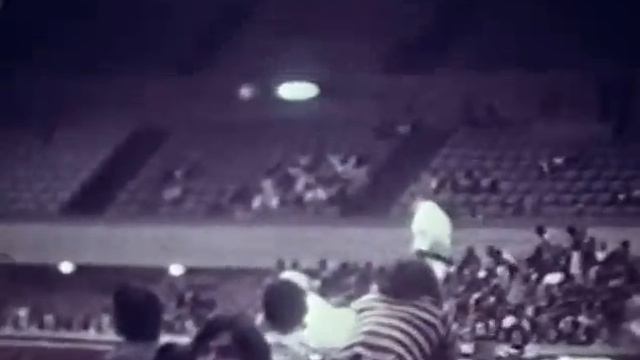 Morio Higaonna sensei and Teruo Chinen sensei смотреть онлайн