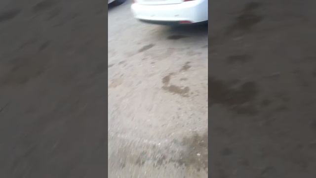 Купил новый Варяг 550V смотреть онлайн