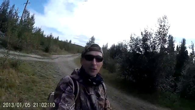 Собираем грибы.Обзор дороги. Природа Выборгского района. смотреть онлайн
