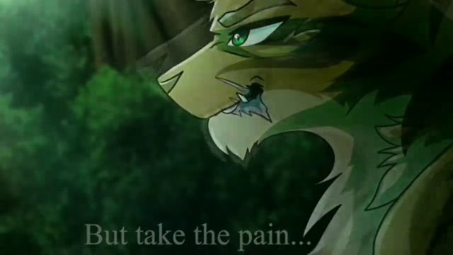 ||Коты Воители||Клип for девочка Legenda||Ночной рейс|| смотреть онлайн