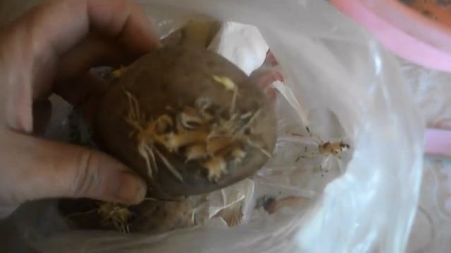 Экономное меню \ ДАЧНЫЙ ВАРИАНТ смотреть онлайн