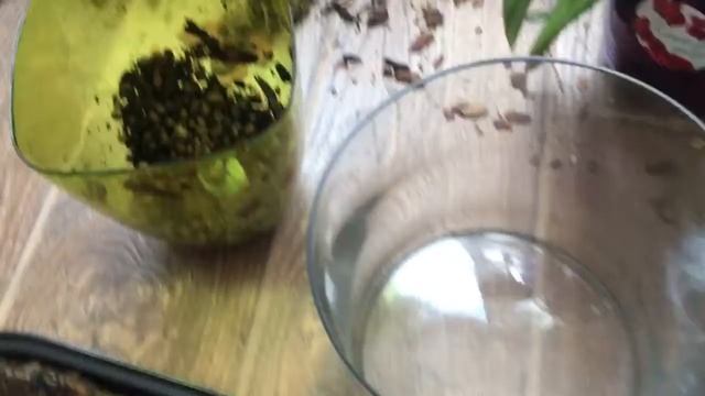 Все что не делается все к лучшему. смотреть онлайн