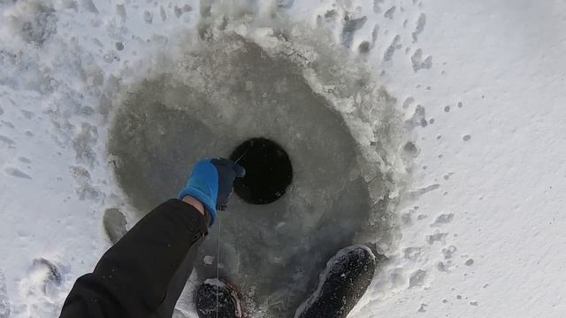 Я В ШОКЕ! НЕ УСПЕЛ УСТАНОВИТЬ ХАПУГУ И СРАЗУ ПОЙМАЛ РЫБИНУ.УДАЧНАЯ РЫБАЛКА НА ХАПУГИ ПО ПЕРВОМУ ЛЬД