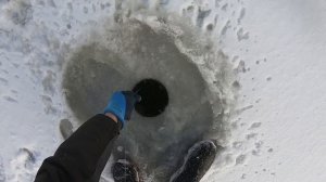 Я В ШОКЕ! НЕ УСПЕЛ УСТАНОВИТЬ ХАПУГУ И СРАЗУ ПОЙМАЛ РЫБИНУ.УДАЧНАЯ РЫБАЛКА НА ХАПУГИ ПО ПЕРВОМУ ЛЬД