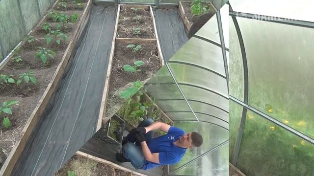 Мульча: ГЛАВНЫЕ ПРАВИЛА и ОШИБКИ смотреть онлайн