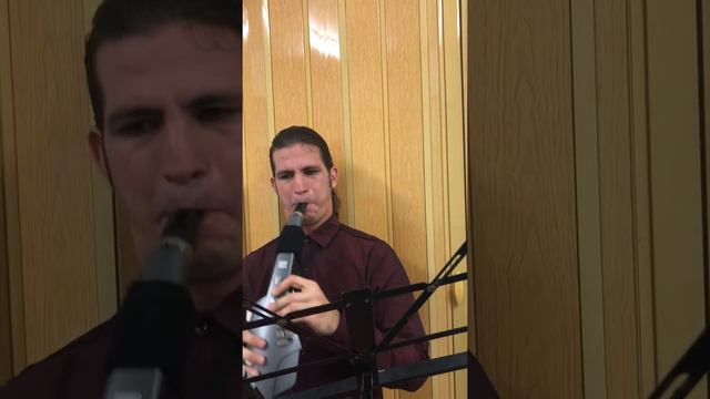 The Way You Make Me Feel con Roland AE-10 смотреть онлайн