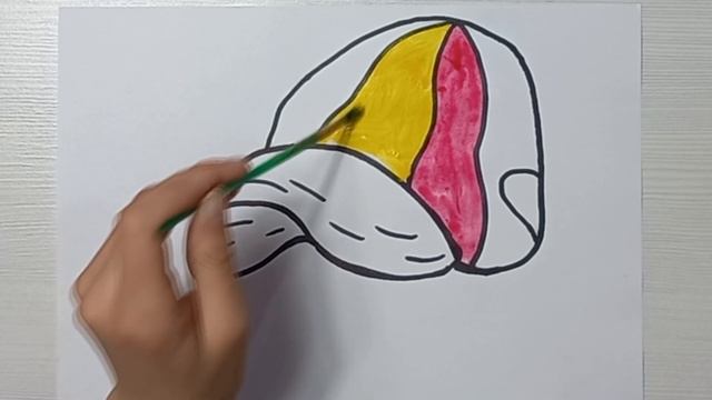 Bolalar Uchun Qopqoq rasm chizish / Drawing Cap for children / Рисование Шапка для детей смотреть онлайн