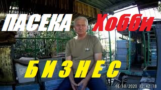 Продать пчел и пасеку.Состояние пчелосемей с ганемановской решёткой и без неё. смотреть онлайн