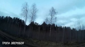 Охота на вальдшнепа 2018. Не мой день