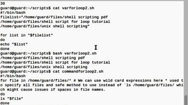 Bash shell script for loop – How it works смотреть онлайн