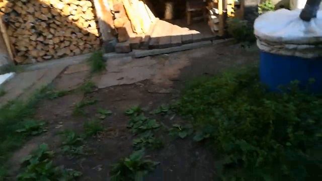 мы с моей двоюродной сестрой Алиной и с Ли-Ли ищем двоюродного брата. смотреть онлайн