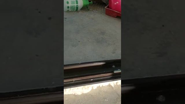 Окно PS-портал Фирма «Синди», фурнитура G-U поставщик Аркадий Славин СПб профиль Rehau смотреть онлайн