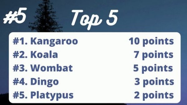 Intermediate English Quiz about Animals | Top Five Answers / ESL Classroom Games (Animal ESL Game)