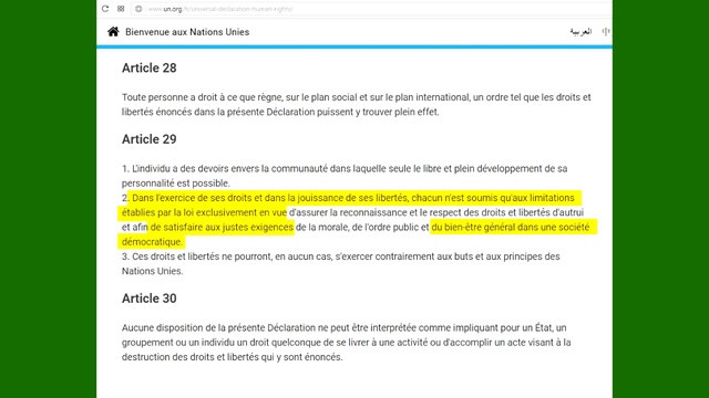 Ne Rien Espérer Des “Droits De L'Homme”