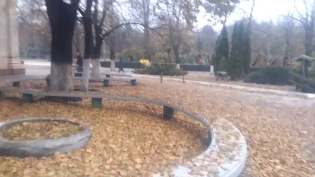 Скамейка змейка после ремонта в Бендерах Декабрь 2020 смотреть онлайн