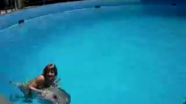 dive-dolphins.ru купание с дельфинами в петербурге смотреть онлайн