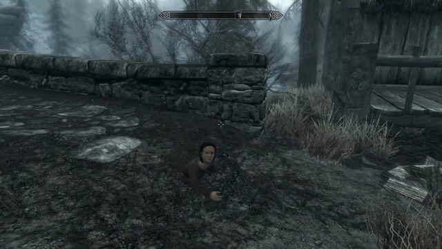 The Elder Scrolls Skyrim Glitch: Air swimmer смотреть онлайн