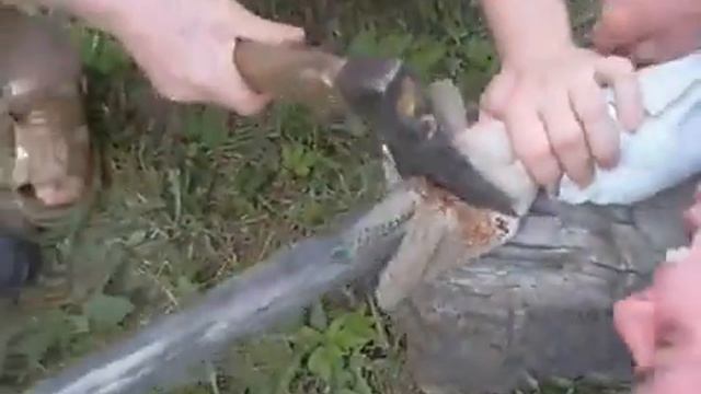 Жесть на отдыхеwmv смотреть онлайн