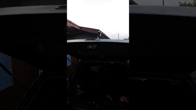 Амортизаторы крышки багажника. Golf 3