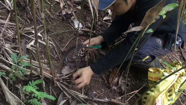 Ep 32, Building New Life, Building Wild Life, Farm, Freelife, Bushcraft, Survival