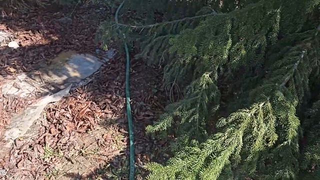 Заокский район абиссинская скважина на глине. Выкручиваемся как можем))) смотреть онлайн