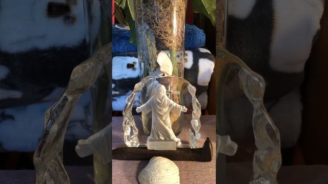 God says ~ I AM YOUR PROVIDER ♥️#god #propheticword смотреть онлайн