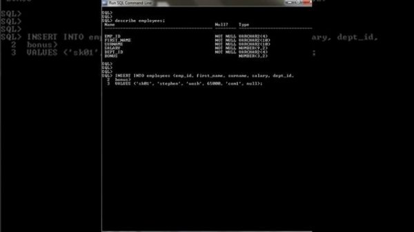 CREATE TABLE, INSERT VALUES, SELECT statement in Oracle SQL