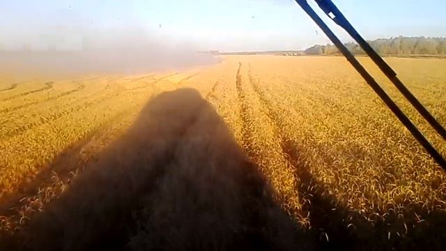 Уборка 17,Глядянское,Иванов и К. смотреть онлайн