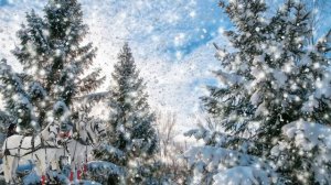 В лесу родилась Ёлочка!