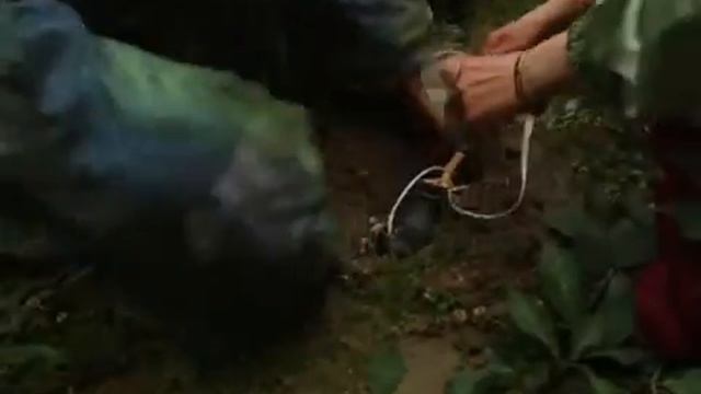 Праздник Иван лун, г. Печора