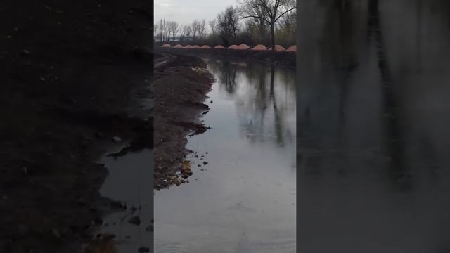 Сад Бернацкого. Река 2-я Беленькая. В кадр попала рыжая собака смотреть онлайн