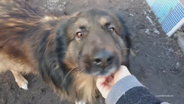 Феникс спустя 9 лет смотреть онлайн