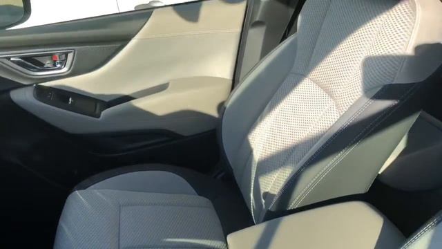 2019 Horizon Blue Pearl Forester смотреть онлайн