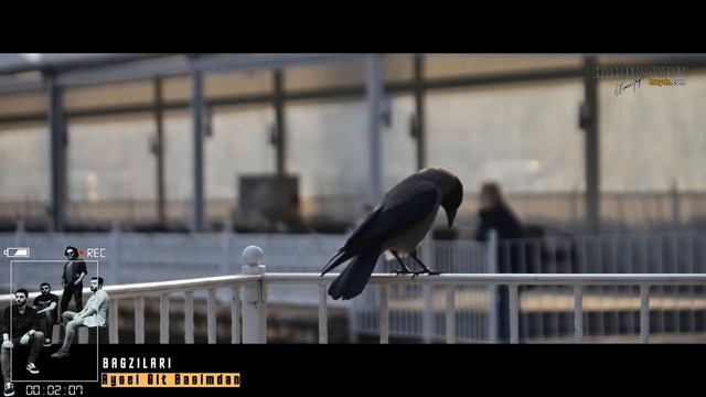 Aysel Git Başımdan | Bağzıları смотреть онлайн