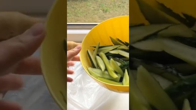 Туризм и Приключения