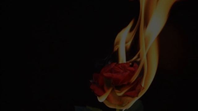 Exit wounds ~ Placebo (English/Español) смотреть онлайн