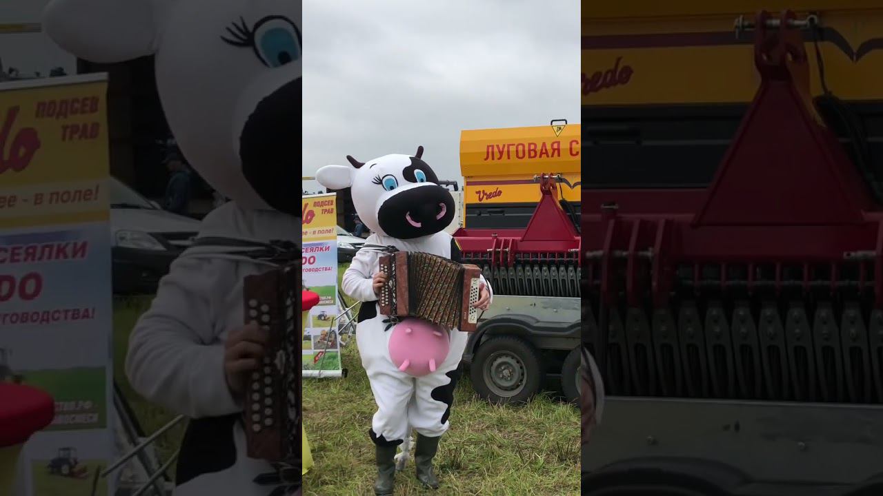 Веселая коровка #агровыставка#сельхозтехника# смотреть онлайн