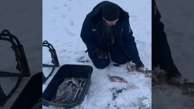 База Волошново Горьковское водохранилище смотреть онлайн