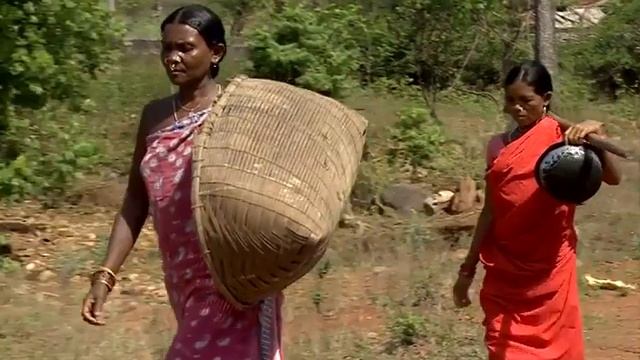 Use of Fish baskets and Fishing Nets amongst Tribes смотреть онлайн
