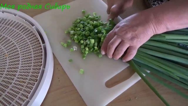 Мастерство и Поддержка