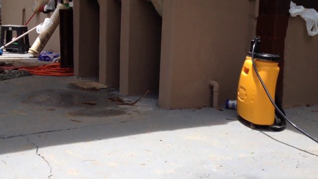 Cobra Jararacussu no rancho смотреть онлайн