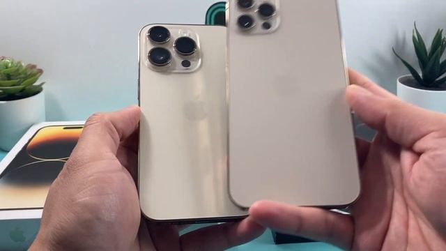 IPhone 14 Pro Gold Vs IPhone 12 Pro Gold Color Comparison