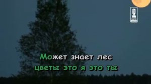 Детские   Может Знает Лес