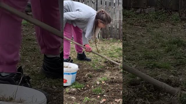 #екатеринбург #уралмаш#огород##дача#растяжка#спорт#фигура#прополка#огородкруглыйгод#огородник#сад смотреть онлайн