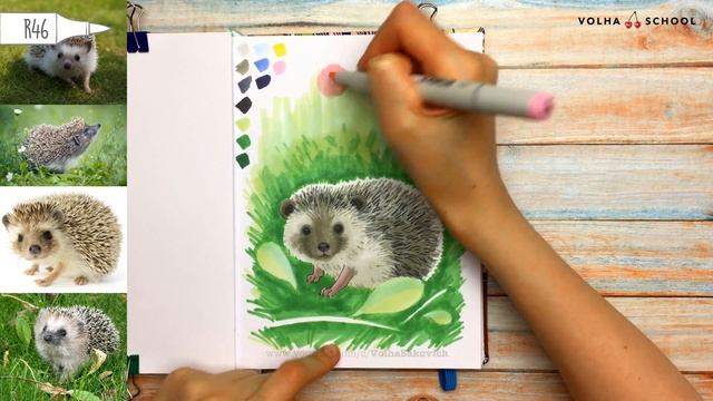 Как нарисовать ежика в траве? / Видео-урок по рисованию маркерами для новичков #81 смотреть онлайн