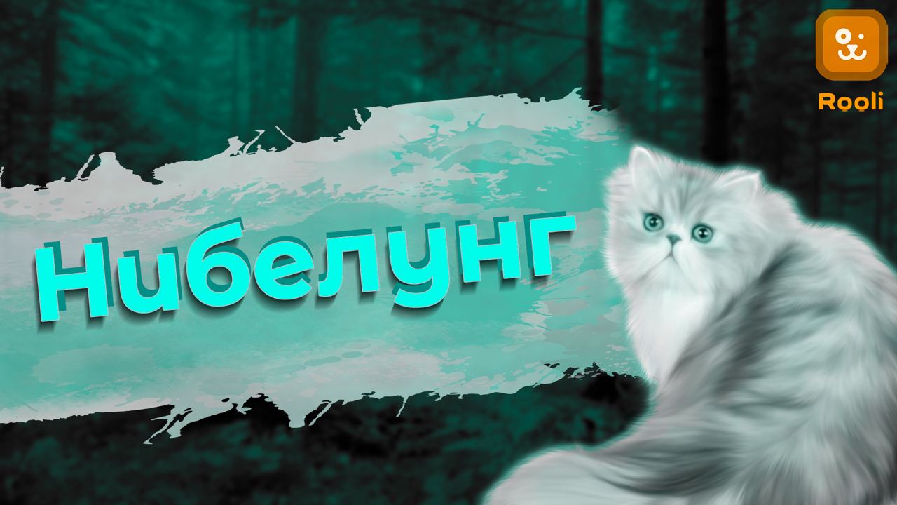 Порода кошек Нибелунг смотреть онлайн