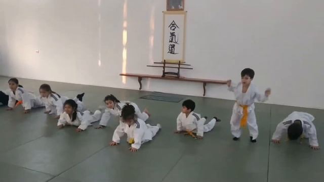 Айкидо - здоровое будущее смотреть онлайн