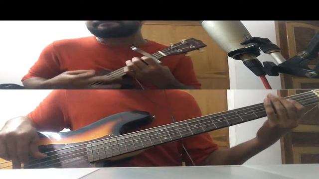 Arctic Monkeys - Fluorescent Adolescent (Ukulele/Bass Cover) смотреть онлайн