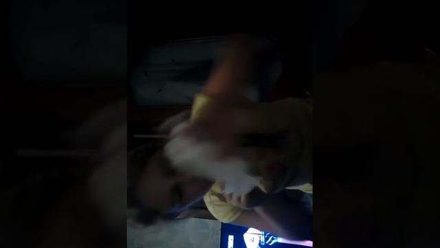 Чем можно заняться дома ????(: смотреть онлайн